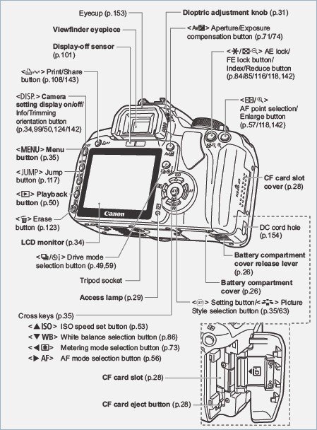 Parts Of A Digital Camera Worksheet â Webmart Me